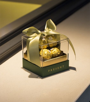 Hard Plastic Clear Box Inspiration 1