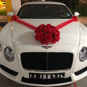 Transportation Decor