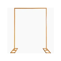 Backdrop Frame