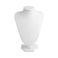 Mannequin Display