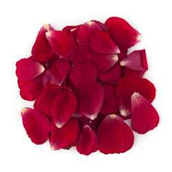 Artificial Petals